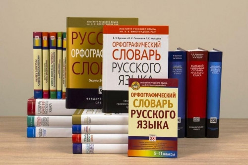 О словарях и энциклопедиях рассказали в научной библиотеке АмГУ